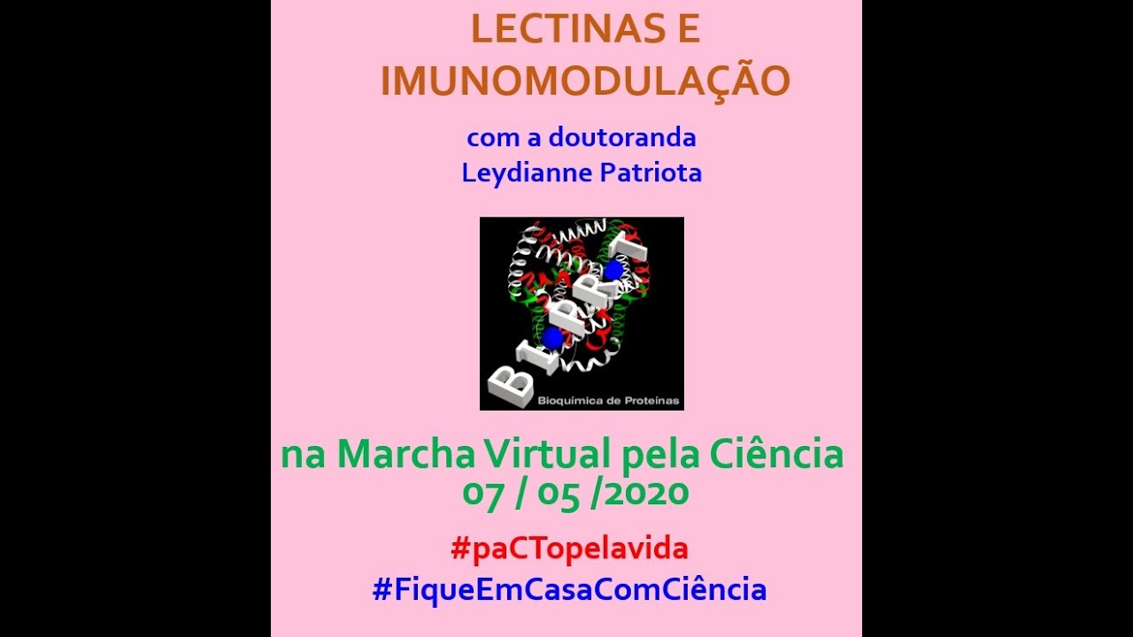 Lectinas e imunomodulação  (MARCHA VIRTUAL PELA CIÊNCIA)