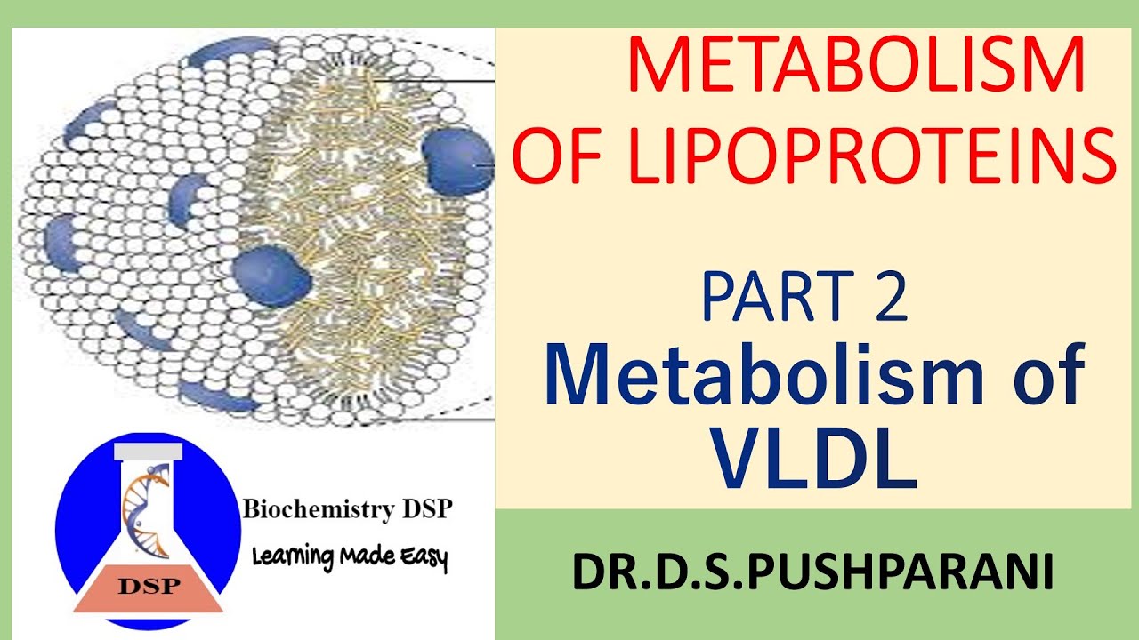 Metabolism of Lipoproteins| Part 2- Metabolism of Very low density lipoproteins| VLDL| Lipoproteins|
