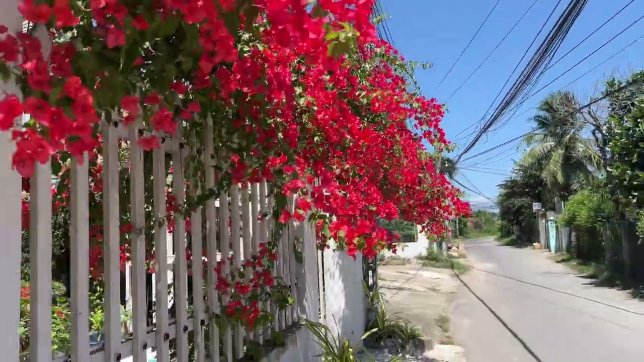 Đủ nắng,đủ gió là nơi đó có em
