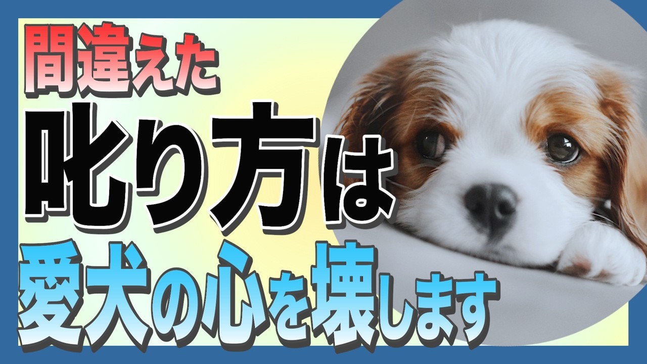 この叱り方してたら犬に嫌われます！飼い主が必ず知っておくべき６つ