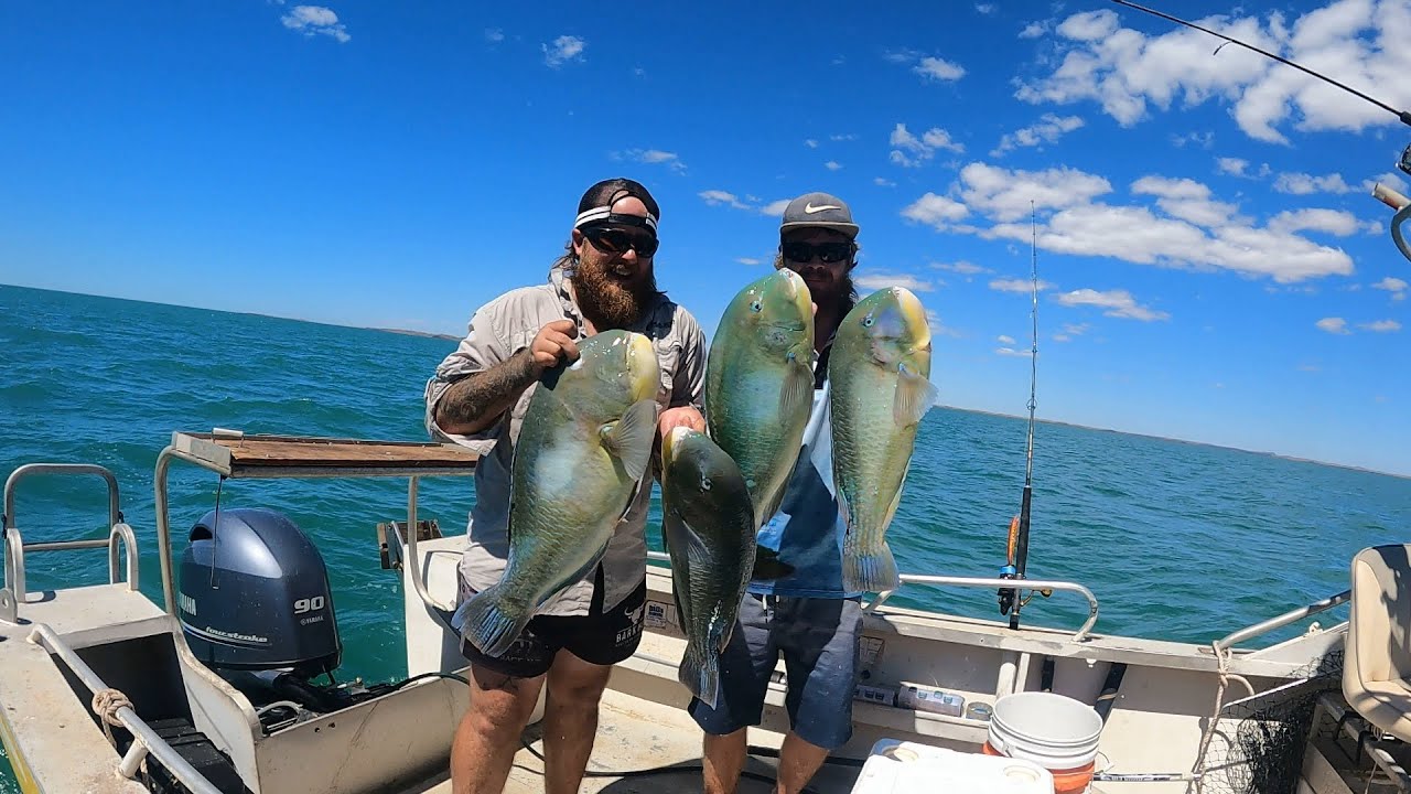 PILBARA FISHING- catchin few mackies,bone and trout with the boys