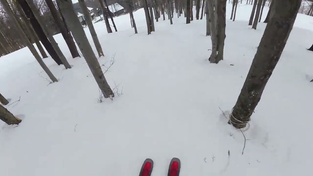 Timberline Mountain West Virginia Glade Skiing 