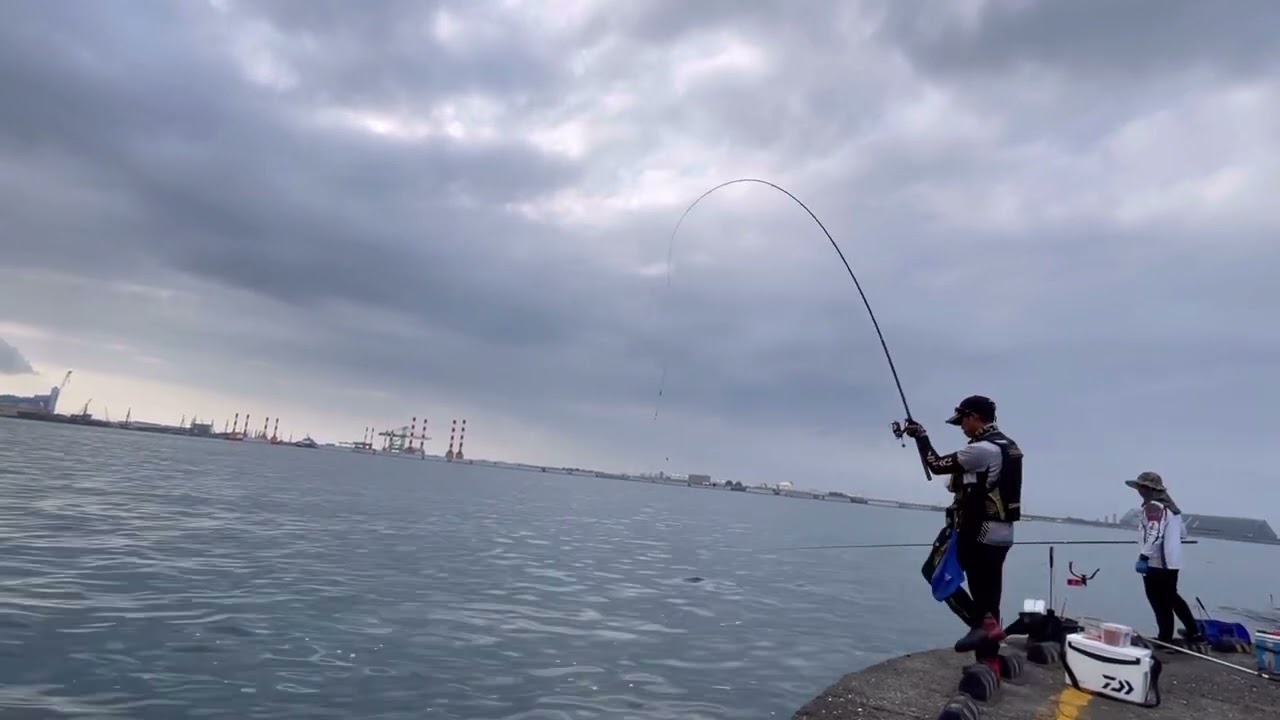 熱愛釣魚》娘娘的襲擊～～#磯釣 #釣魚 #誘釣同步#熱愛釣魚