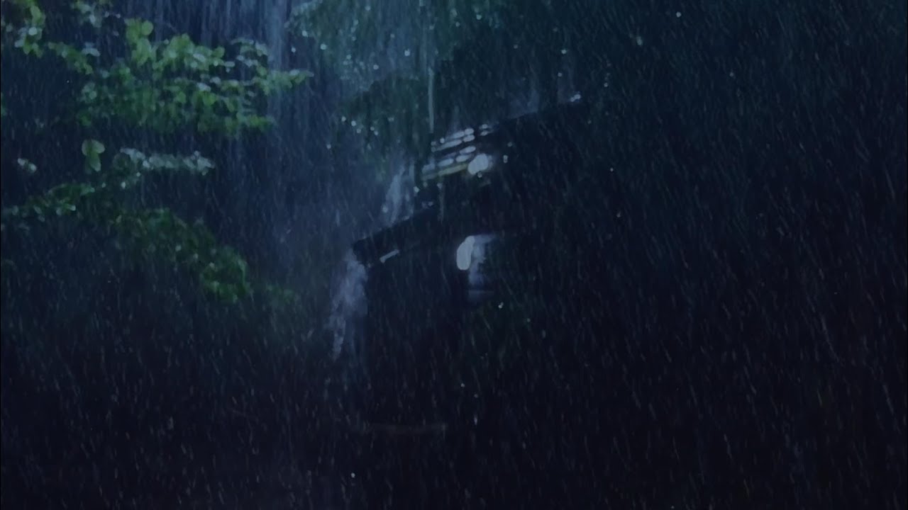 Calming Thunderstorm Sounds for Effective Sleep Therapy 🌩️