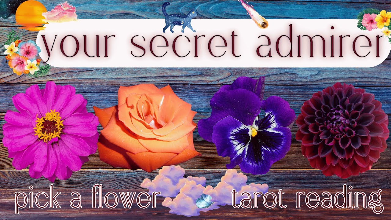 Who Has A Secret Crush On You? Their Next Move? What's Next?🌹| Pick A Card Tarot Reading For Love