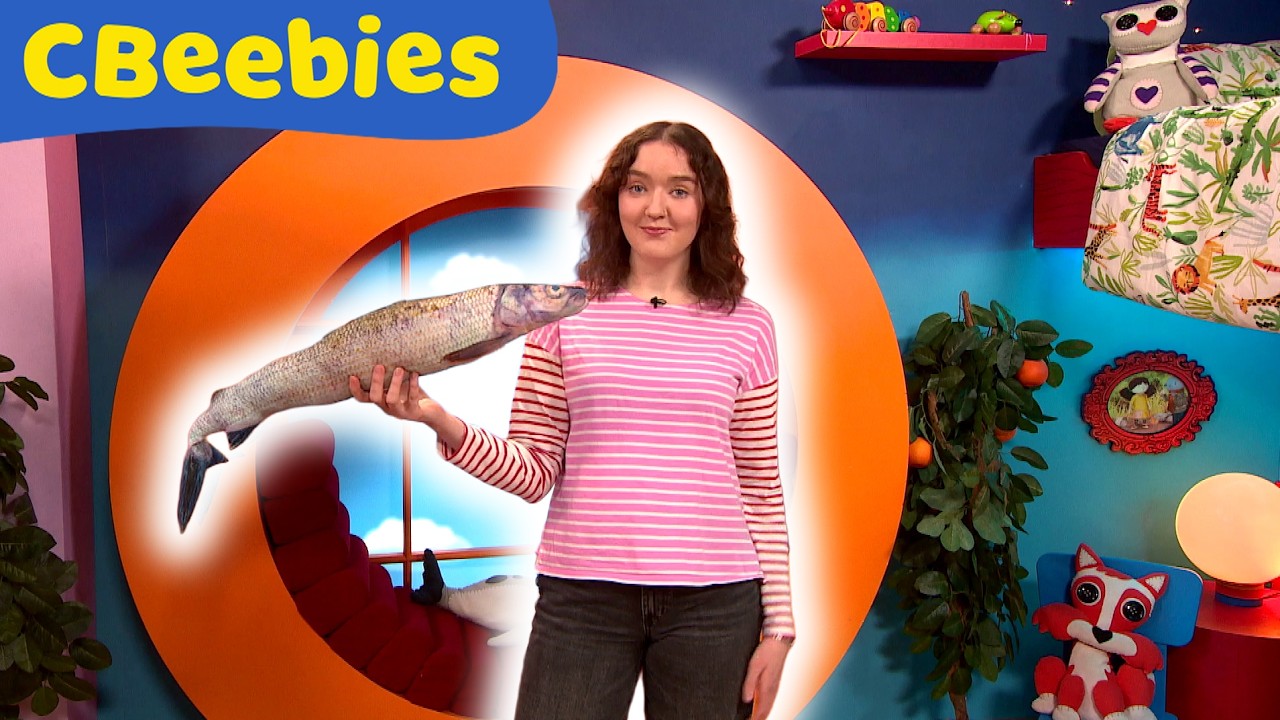 A Rionnaich! A Rionnaich! 🐟  | CBeebies ALBA | BBC ALBA