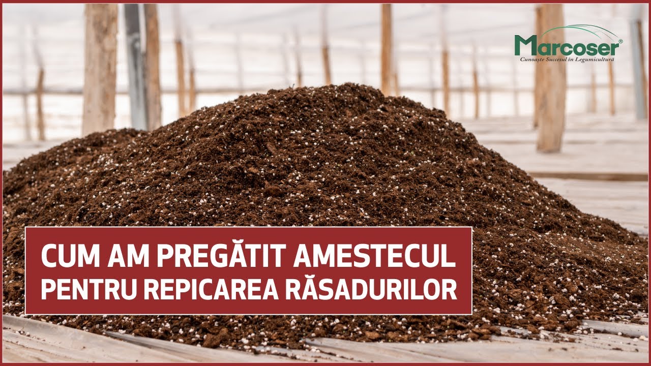 Cum Am Pregătit Amestecul Pentru Repicarea Răsadurilor | Ferma Marcoser