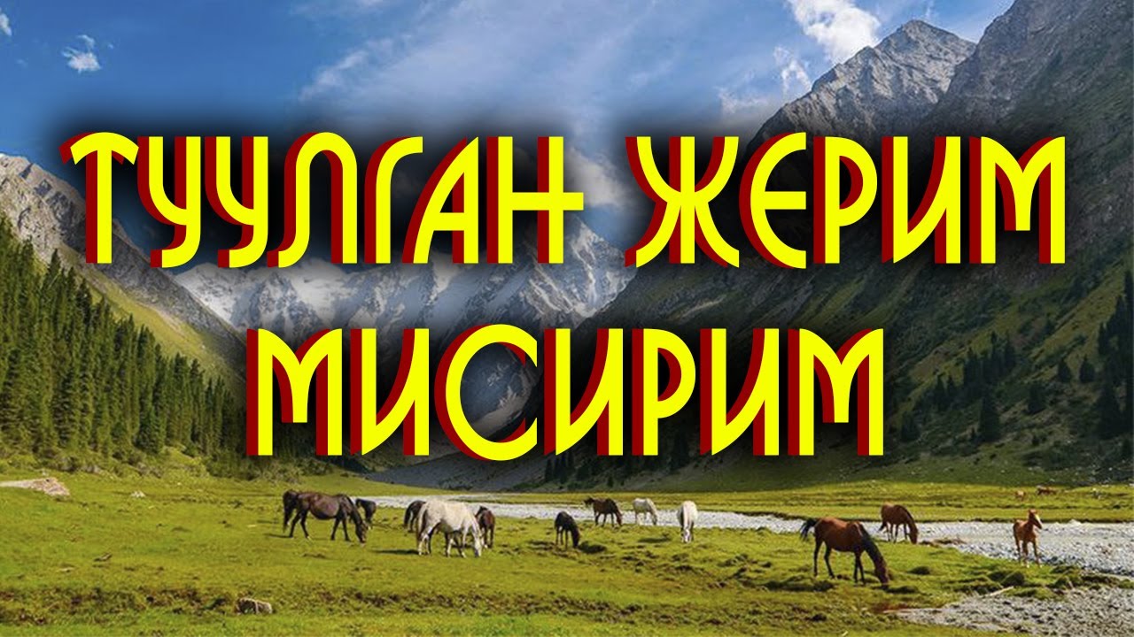 ТУУЛГАН ЖЕРИМ - МИСИРИМ                                                 