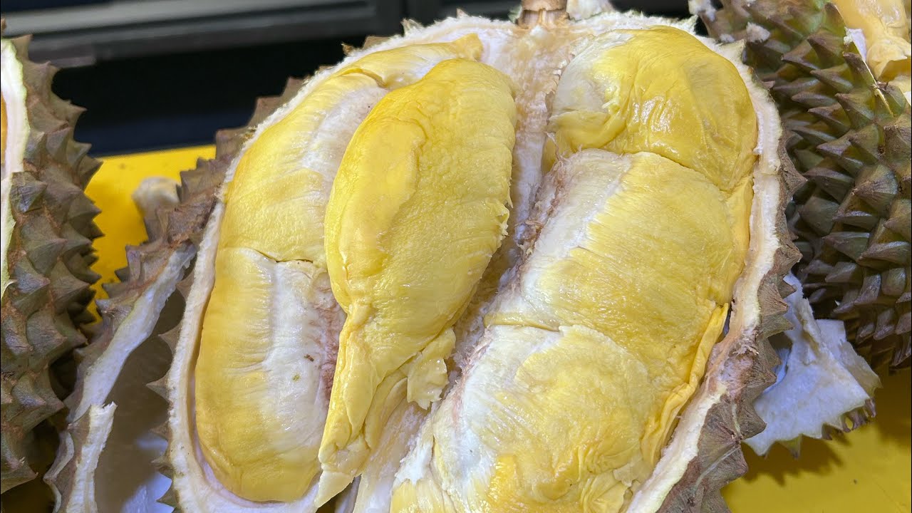 BUNGKUS DURIAN BAWOR OREN‼️#durian #durianff 