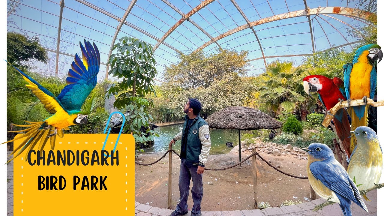 Bird Park in Chandigarh Near Sukhna Lake || Pankaj Talks