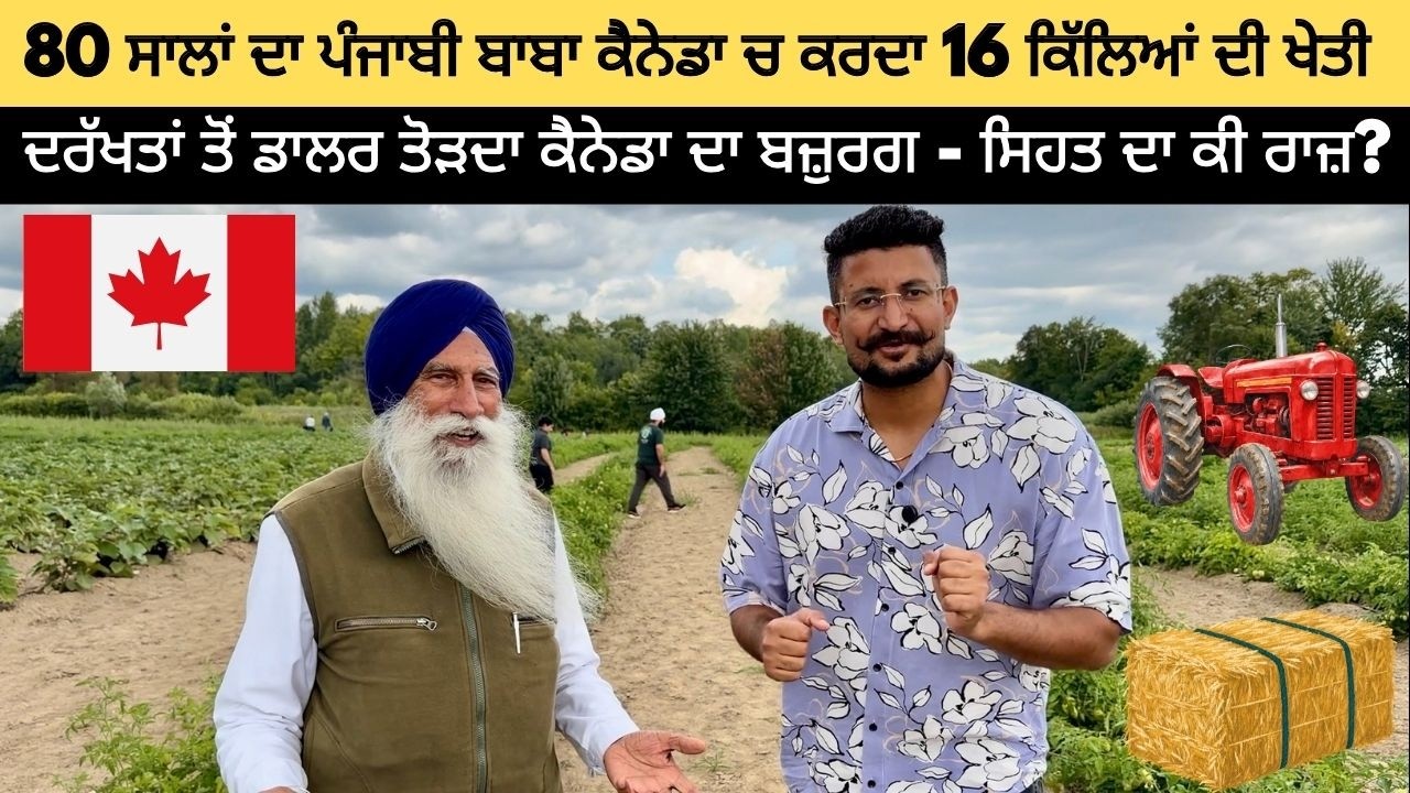 80 Year Old Punjabi Baba Doing Farming in Canada 🇨🇦 Farm in Canada