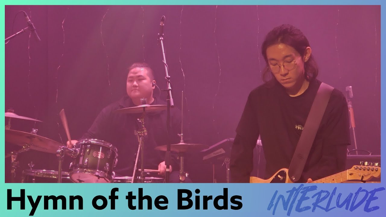 Nerd Connection - Hymn of the birds (Live)