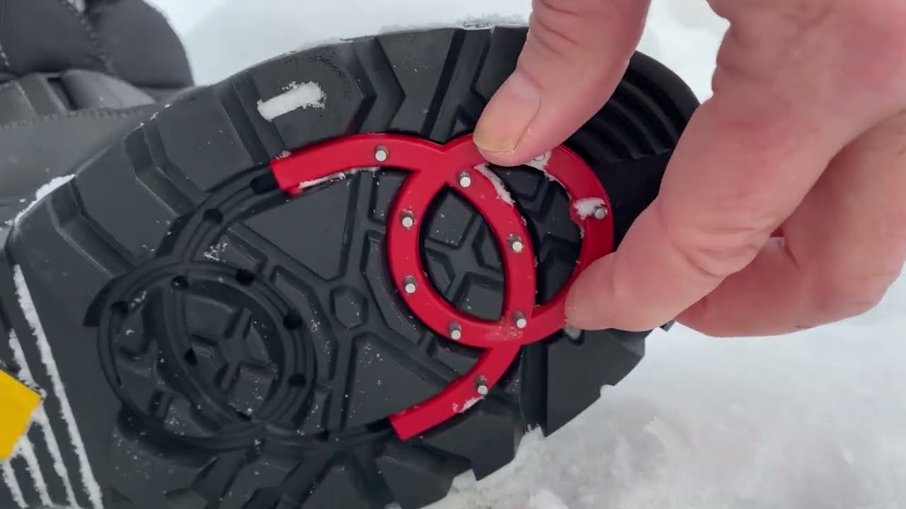 Safety walking your dog in winter