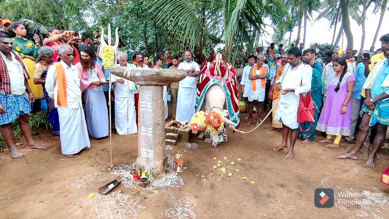 ಶ್ರೀ ಮಂಟೇಸ್ವಾಮಿ ದೇವಸ್ಥಾನಕ್ಕೆ ಜಾಗ ತೋರಿಸುವುದು ದೊಡ್ಡನಹಳ್ಳಿ ಚನ್ನಪಟ್ಟಣ ತಾಲೂಕು.. ಶ್ರೀ ಮಂಟೇಸ್ವಾಮಿ ಬಸಪ್ಪ