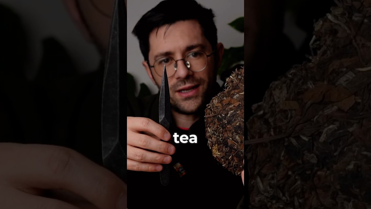 How to break apart a tea cake  #teabrewing #teatips  #whitetea #gongfutea