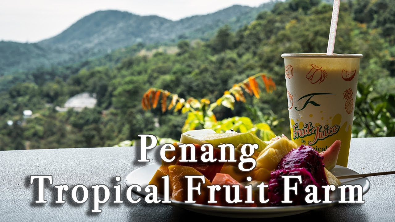 Penang Tropical Fruit Farm Malaysia【Full Tour in 4k】