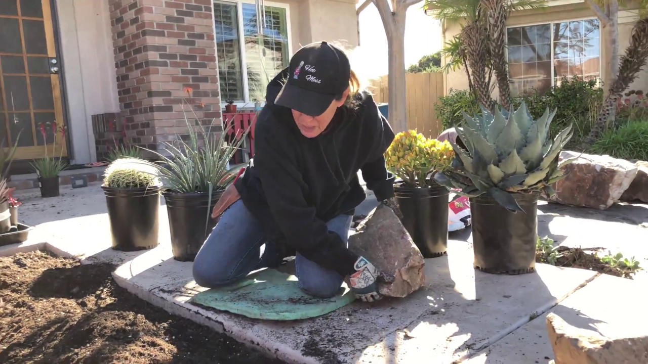 Step by Step Succulent Cutout and Day 5 in Scripps Ranch!