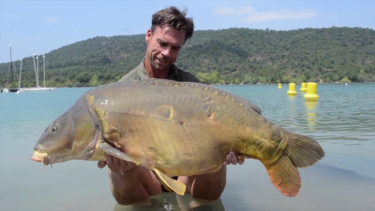 Carp fishing on Cassiën