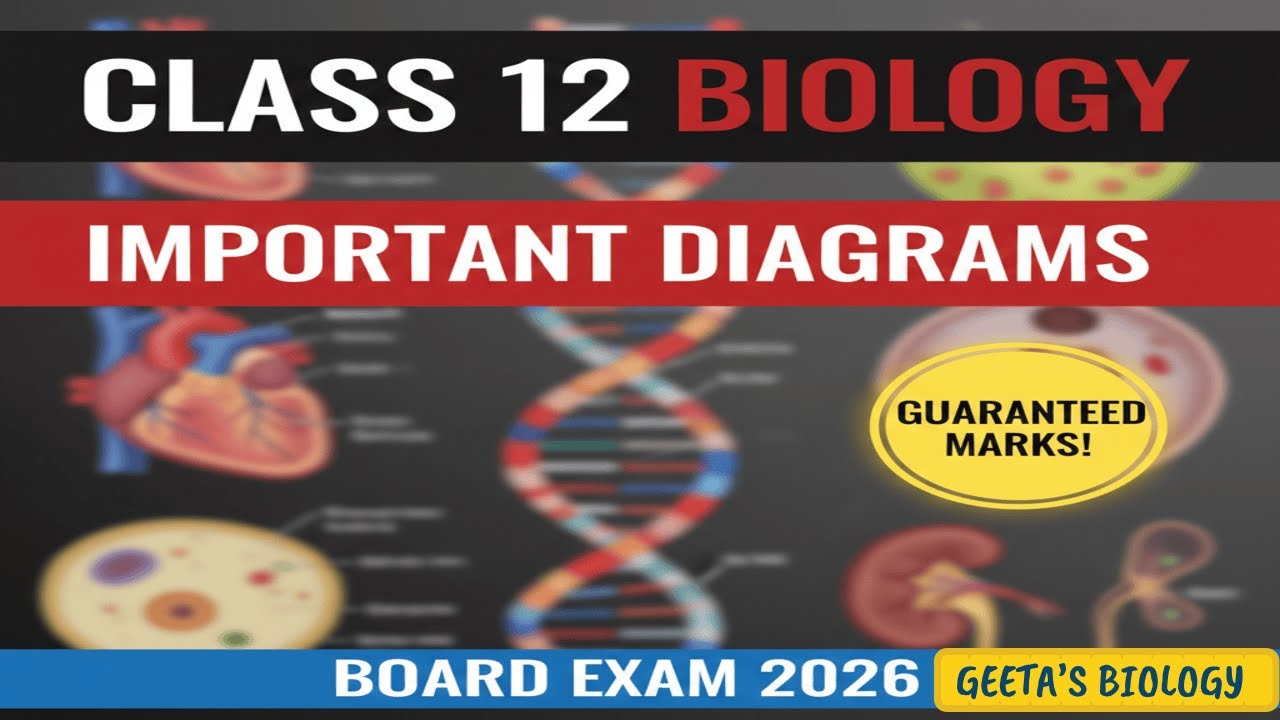 HSC 12 Biology Important Diagrams | Board Exam Preparation