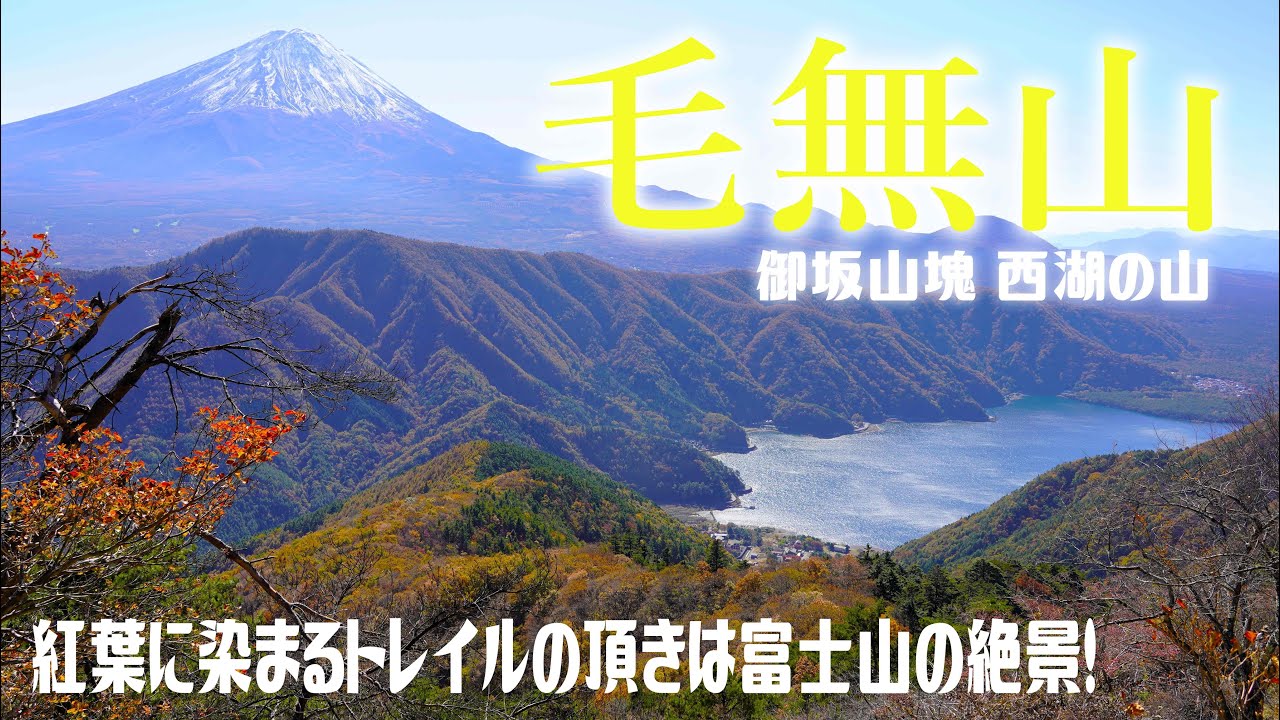 （登山）美しい富士山と湖の絶景！紅葉トレイル毛無山（西湖）🍁秋の木漏れ日ハイキングして充実したよ～(#^.^#)🍂2022.11.3