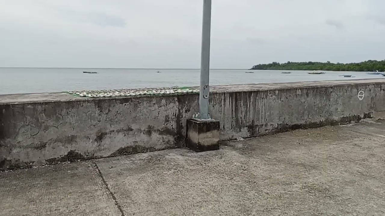Habang naglalakad kami pauwi ng bahay may nadaanan kaming binibilad na isda sa tabing dagat