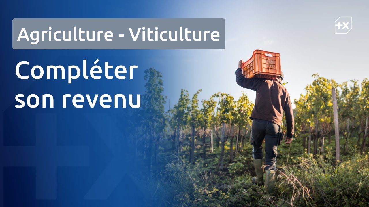 [Banque Populaire] 🌾 Comment compl&eacute;ter son revenu agricole ?