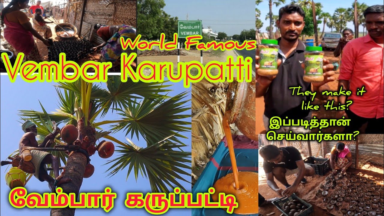 வேம்பார் கருப்பட்டி - VEMBAR KARUPATTI இப்படித்தான் செய்கிறார்களா?