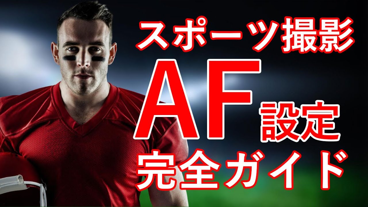 【実証済み】動体撮影に特化した一眼カメラのAF設定