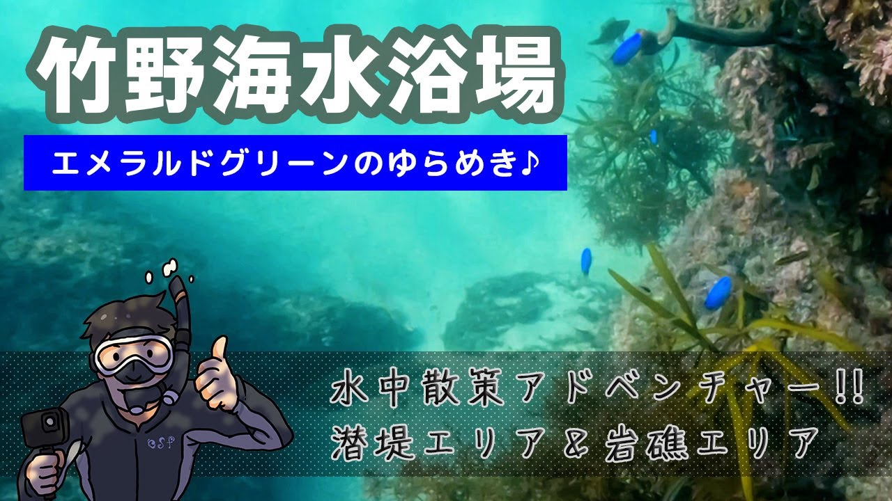 光のゆらめきが心地よい！ほどよい水深の潜堤エリア派？それともダイナミックな岩礁エリア派？｜竹野海水浴場｜京丹後｜京都
