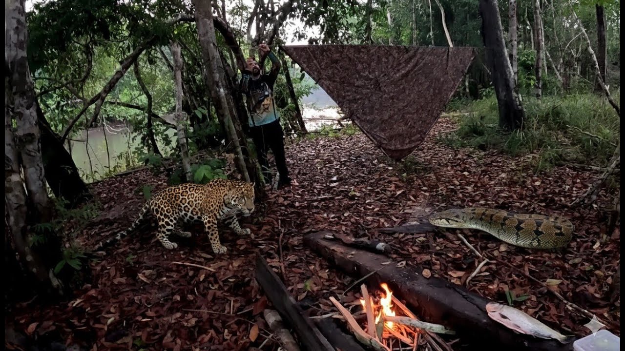 ACAMPAMOS NA SELVA, LUGAR ISOLADO.