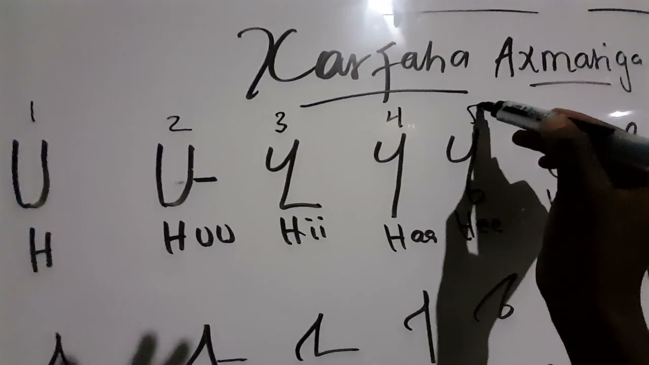casharka 1aad eee axmaariga