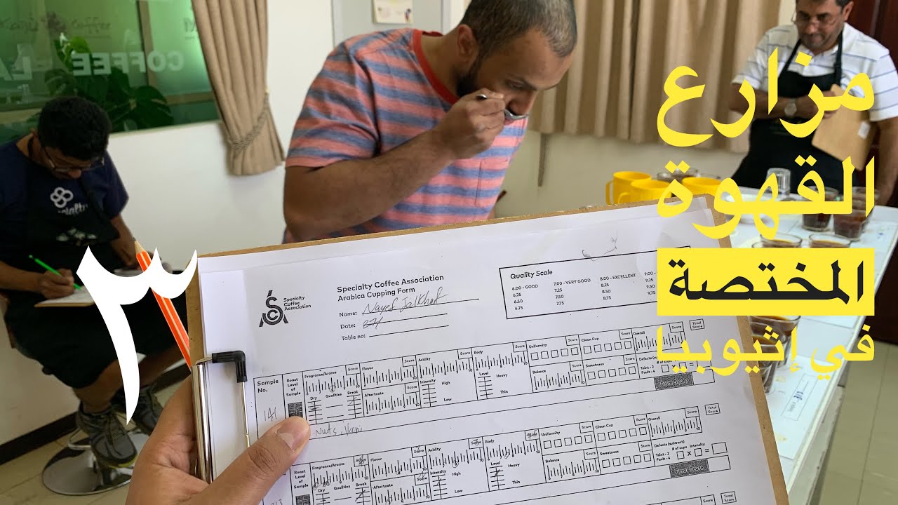 القهوة المختصة - جلسات التذوق - نايف جلخف - الحلقة الثالثة والأخيرة