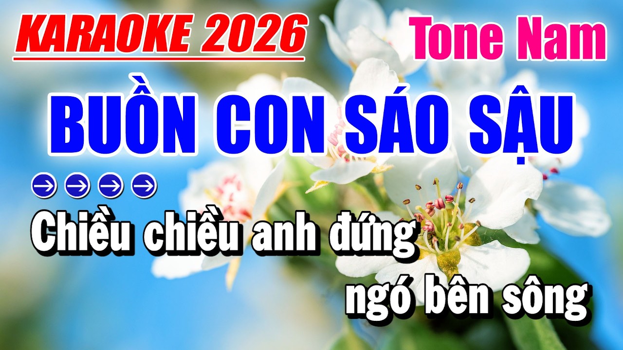 Karaoke Buồn Con Sáo Sậu Tone Nam | Beat Mới | Karaoke Duy Trần
