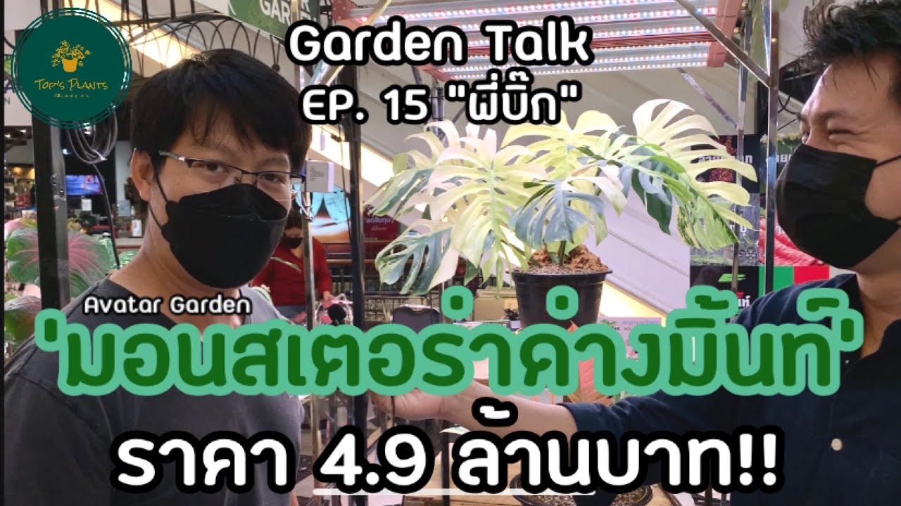 มอนสเตอร่าด่างมิ้นท์ 4.9 ล้านบาท! คุยกับพี่บิ๊ก AVATAR GARDEN