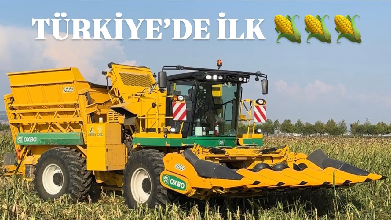 OXBO Mısır Hasat Makinesi | Agro East Tohumculuk