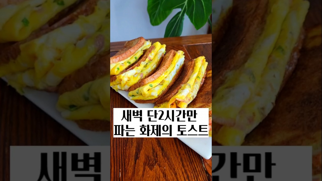 돈있어도 못먹는 화제의 토스트 #토스트 #간단토스트 #야채토스트