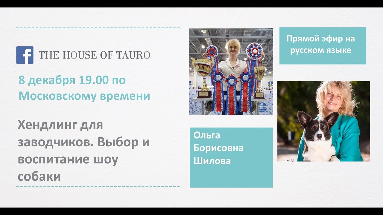 Хендлинг для заводчиков. Выбор и воспитание шоу собаки