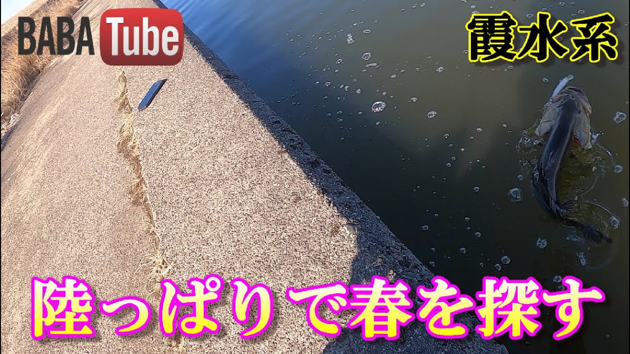 BABATube【霞水系】アラバマリグの使い分けwith中根翼