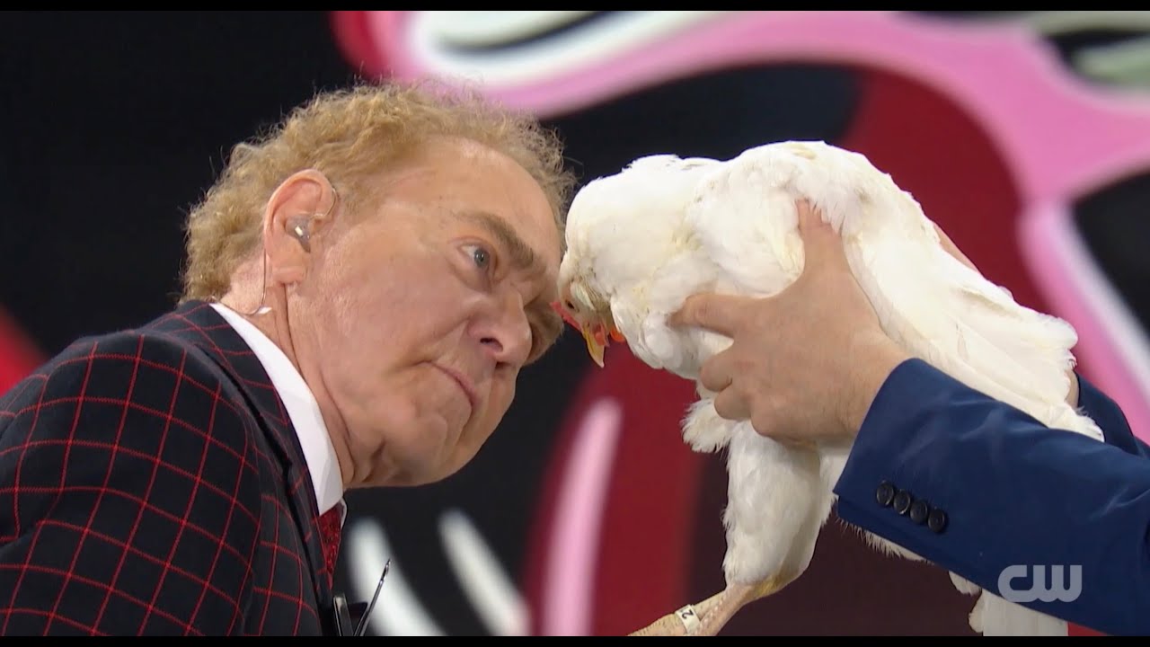 Penn & Teller Fool Us / season 11 / episode 19 / Jo De Rijck returns with his mind reading chicken!
