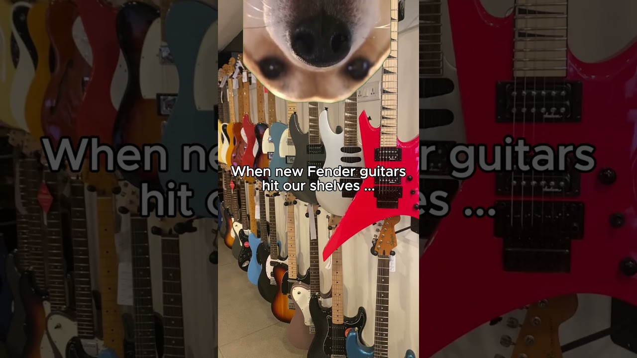 Your dream Fender is here! #guitarlovers #guitarist #music #guitar #shorts #shortvideo