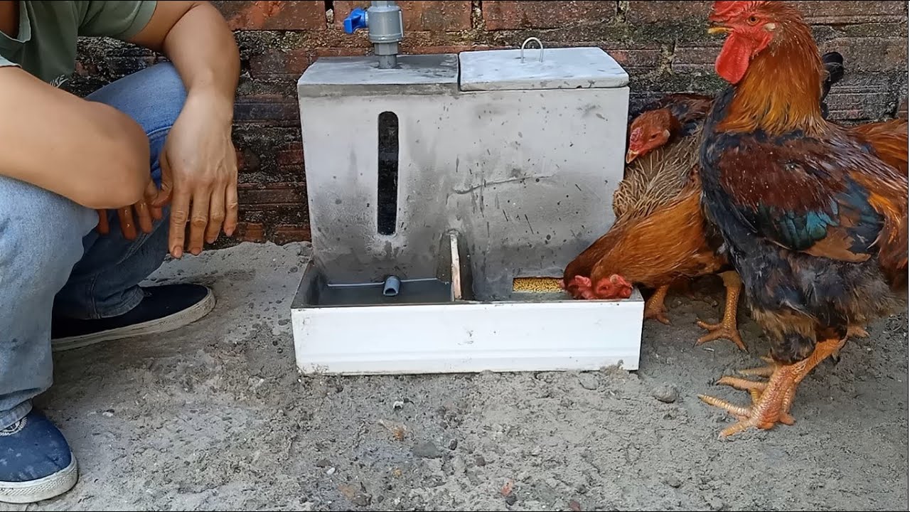 Инструменты для кормления кур. Из цемента - удобно и эффективно