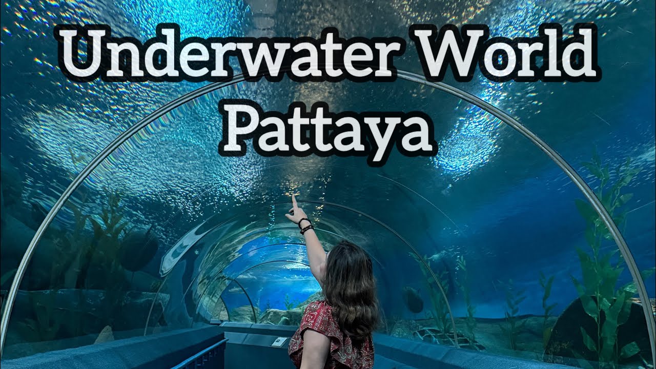 Underwater World, Pattaya | Must Visit Aquarium in Thailand 🇹🇭 | 