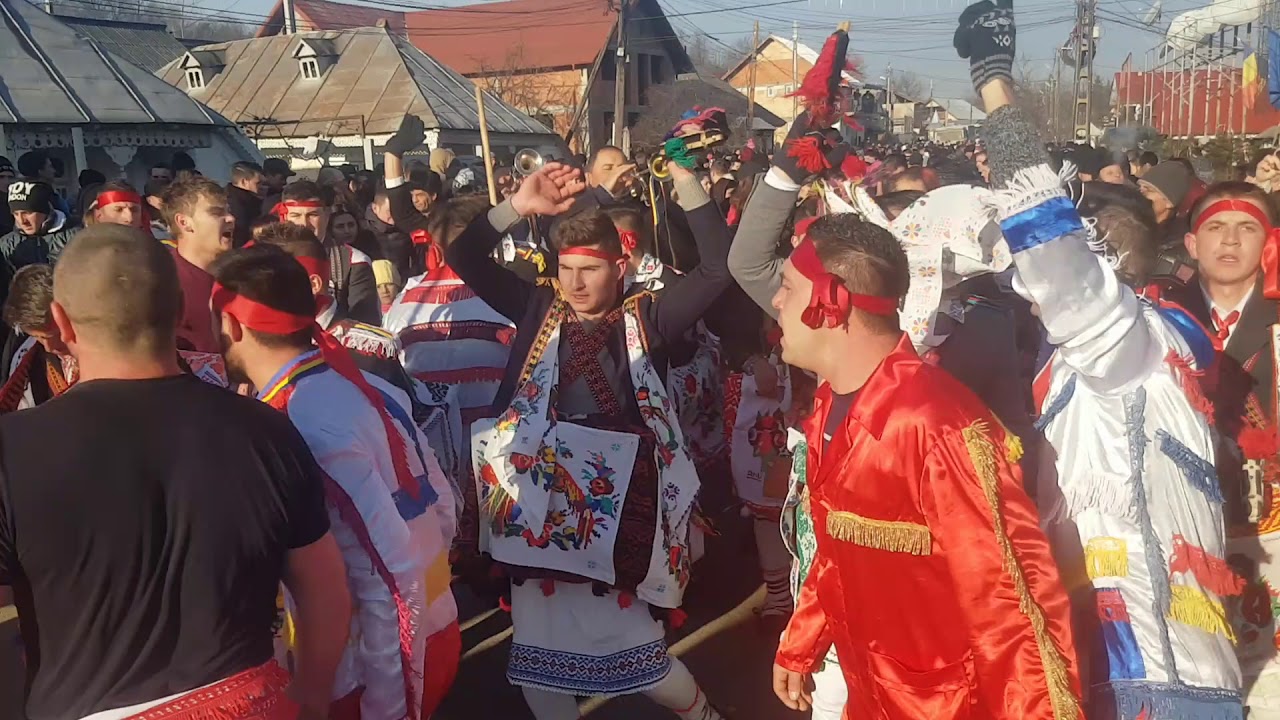 Capra Candesti Neamt 2017