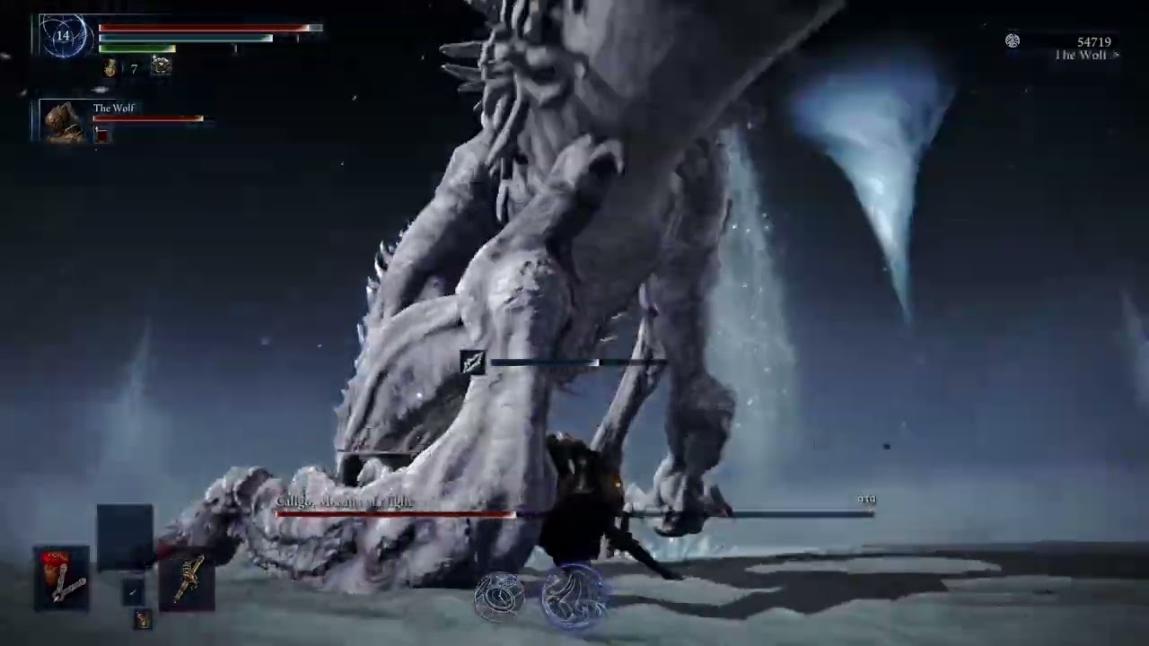 Melting Caligo in Deep of Night