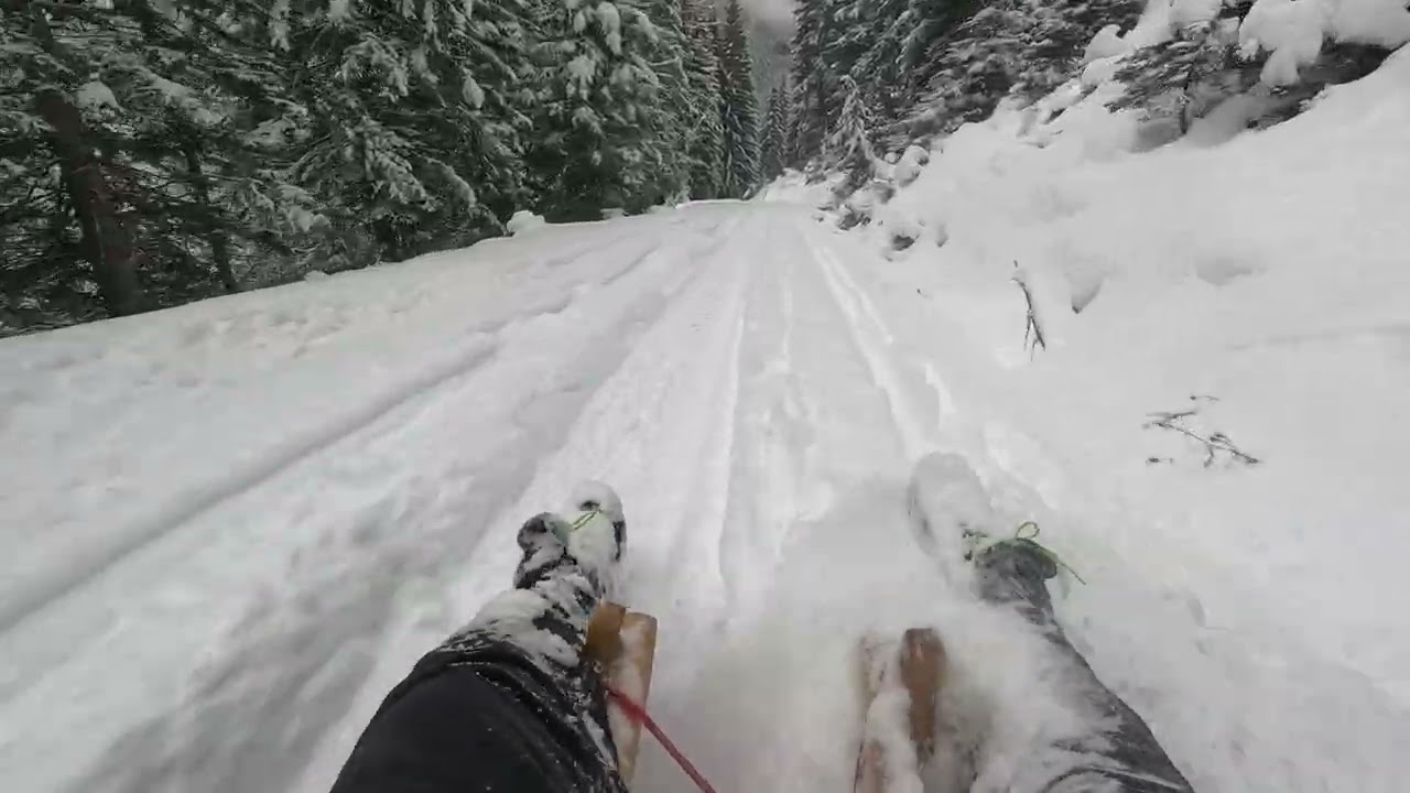 Winterwanderung Bachlalm 1489m - Rodeln - Dachsteingebirge