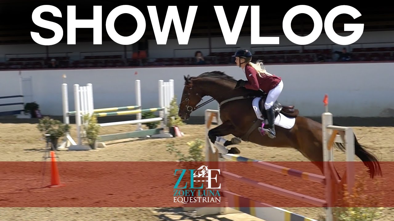 Everything went wrong...but also right?! | ZL Equestrian Show Vlog