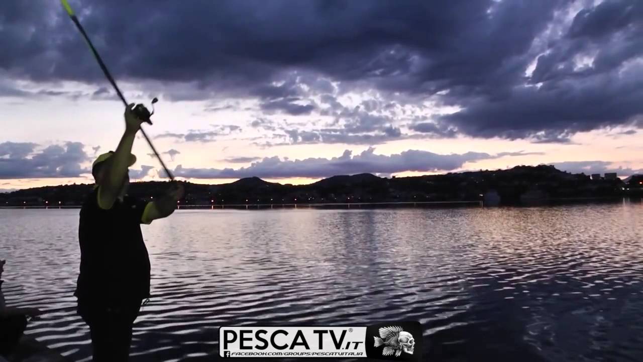 Balestrieri spiega come PESCARE le SPIGOLE a BOLOGNESE : Canne da pesca, mulinelli, fluorocarbon top