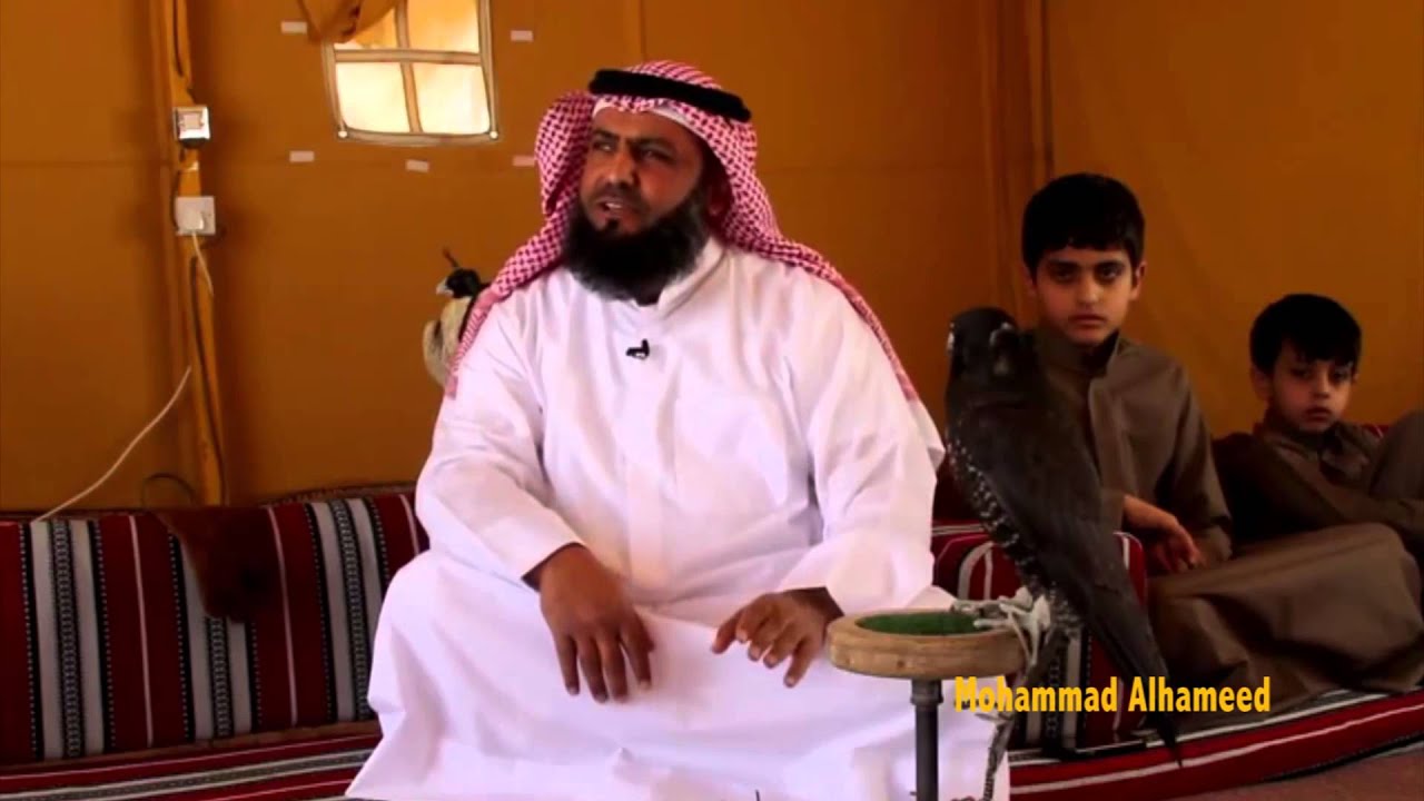 مربط الصقار بدر محارب الديري - الكويت