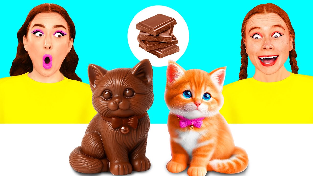 Tantangan Makanan Asli vs Makanan Cokelat | Hacks Dan Trik Dapur oleh BaRaFun Challenge