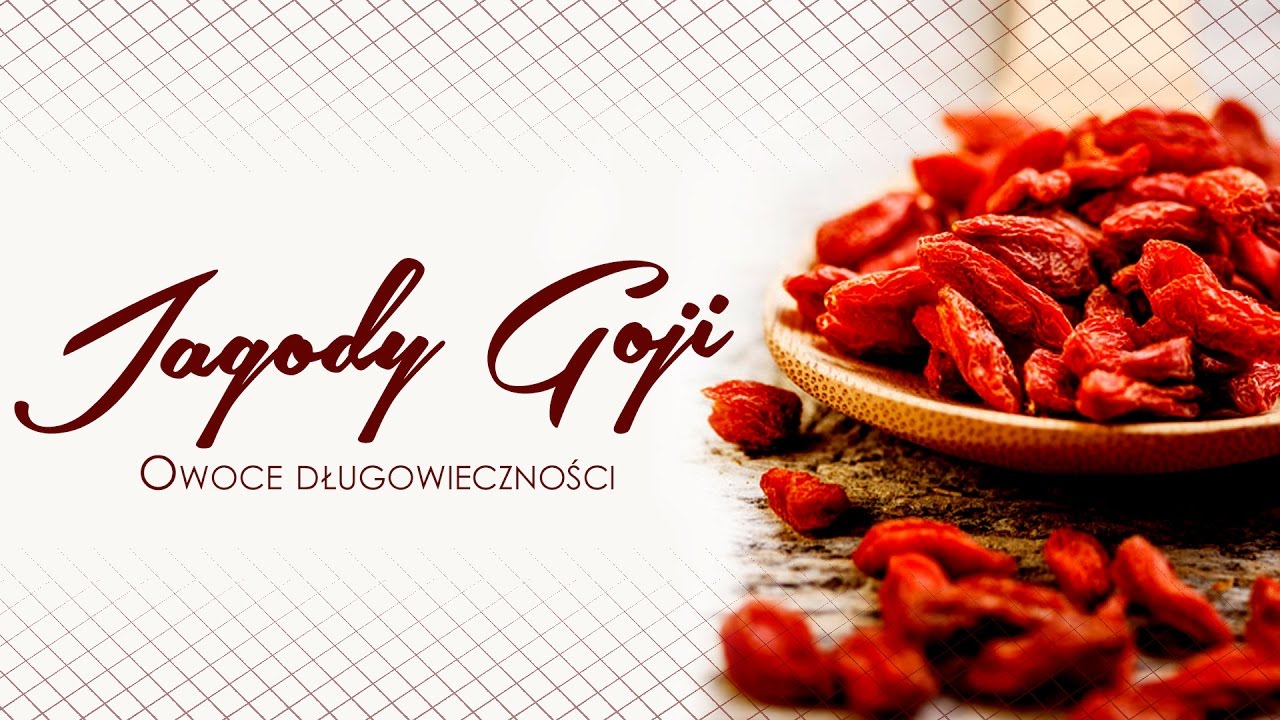 💥Jagody goji &ndash; Dlaczego warto sięgnąć po jagody goji? 🌍cosdlazdrowia.pl💻